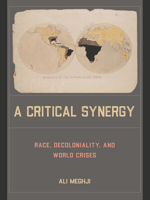cover image of A Critical Synergy